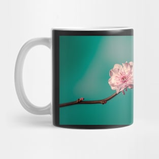 FLOWERS, NATURE’S Fashion Models Mug